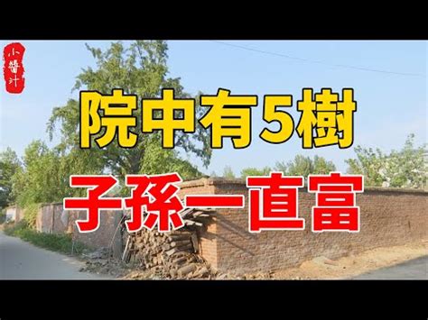 庭院風水樹|【什麼樹最好種】想要陽台庭院綠意盎然？最適合種植。